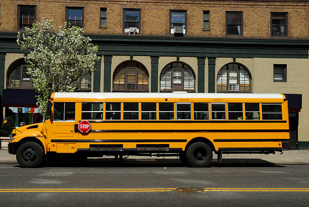 School Buses